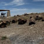 2023OTRA_732 (May 07, 2023)